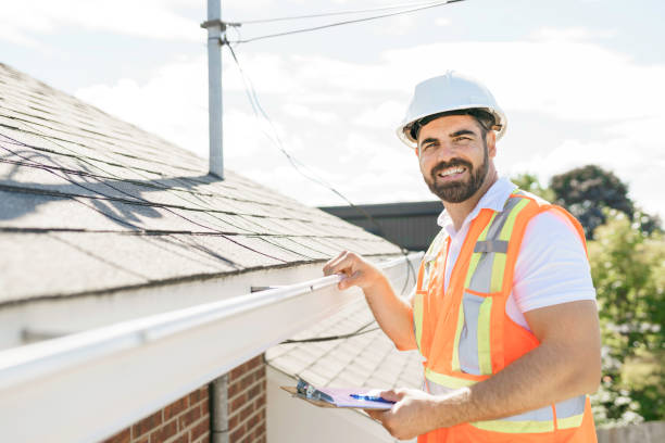 Best Chimney Flashing Repair  in Grant City, MO