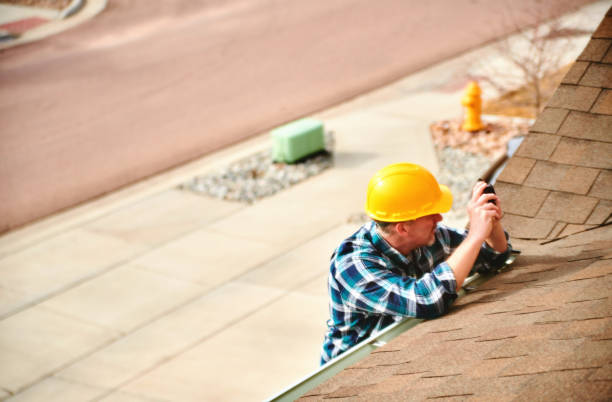 Best Roof Moss and Algae Removal  in Grant City, MO