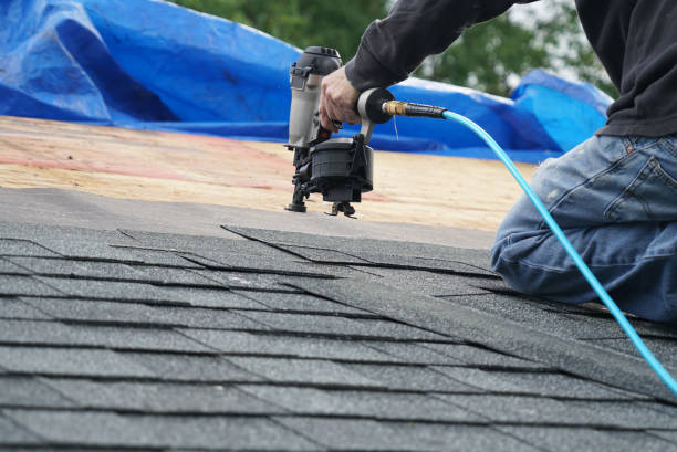 Best Solar Panel Roofing Installation  in Grant City, MO
