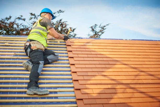 Best Roof Maintenance and Cleaning  in Grant City, MO